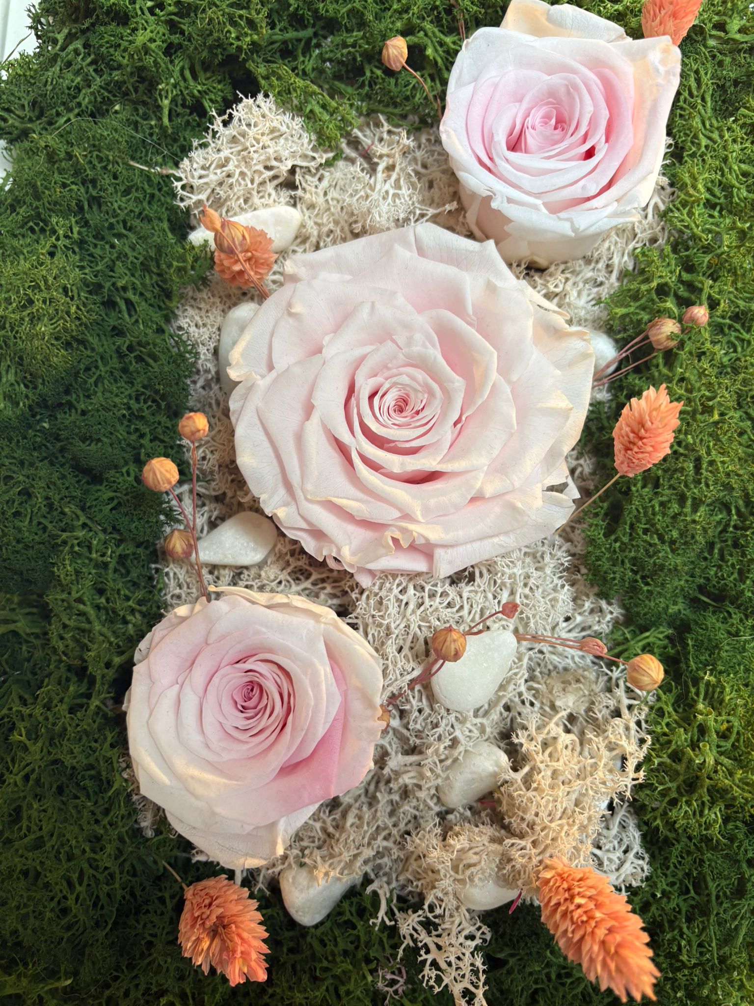 🖼️ Tablou "Blush Serenity"