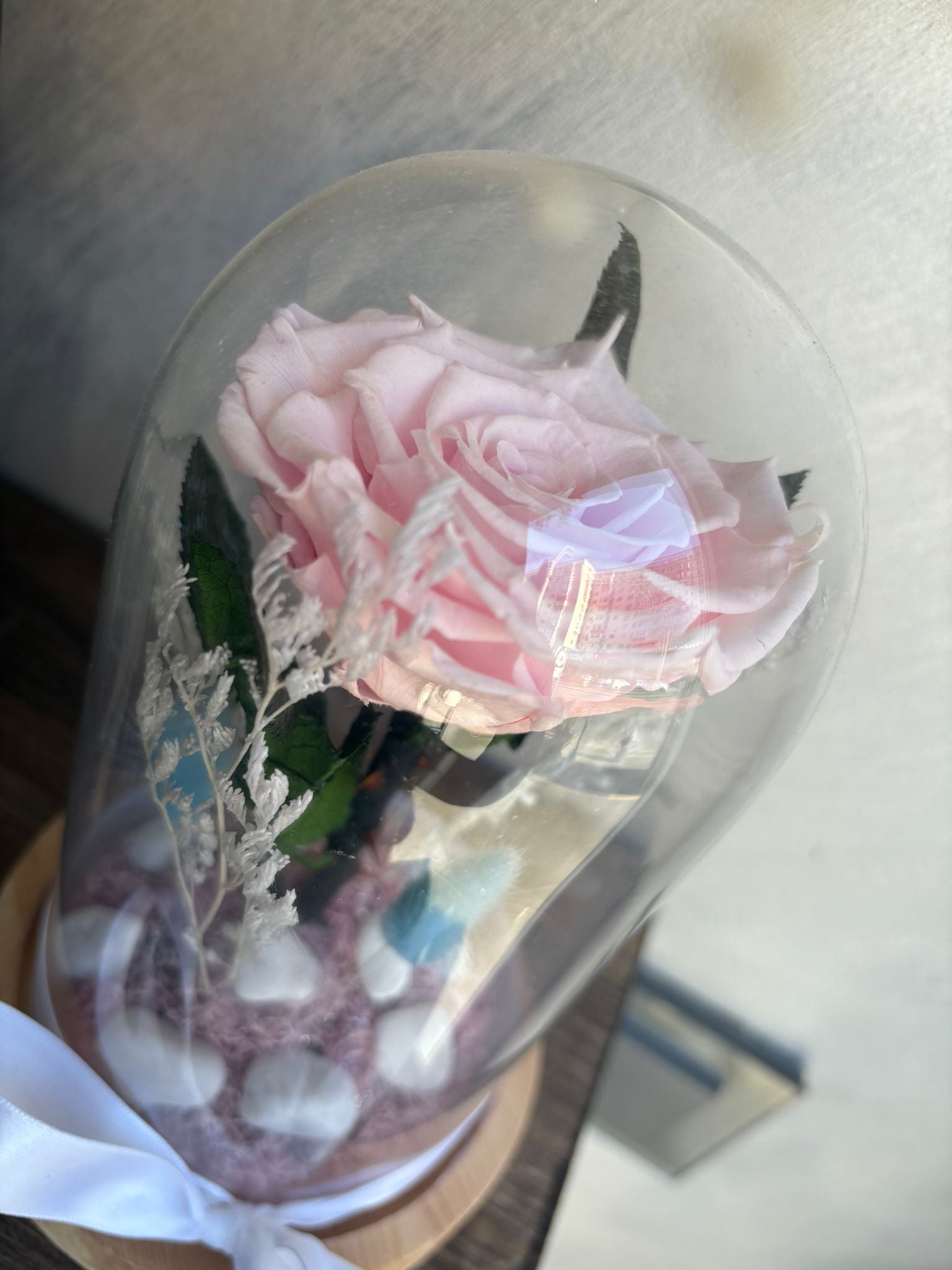 🌹 Cupolă "Eternal Rose"