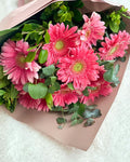 Gerbera Roz